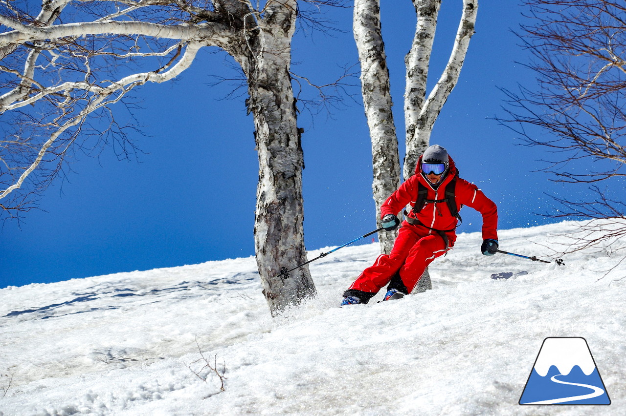 ニセコグラン・ヒラフ DYNASTAR SKI TEST RIDE DAYS Photo Session!!最高の天気に恵まれたニセコに、最高の仲間たちが集まりました☆